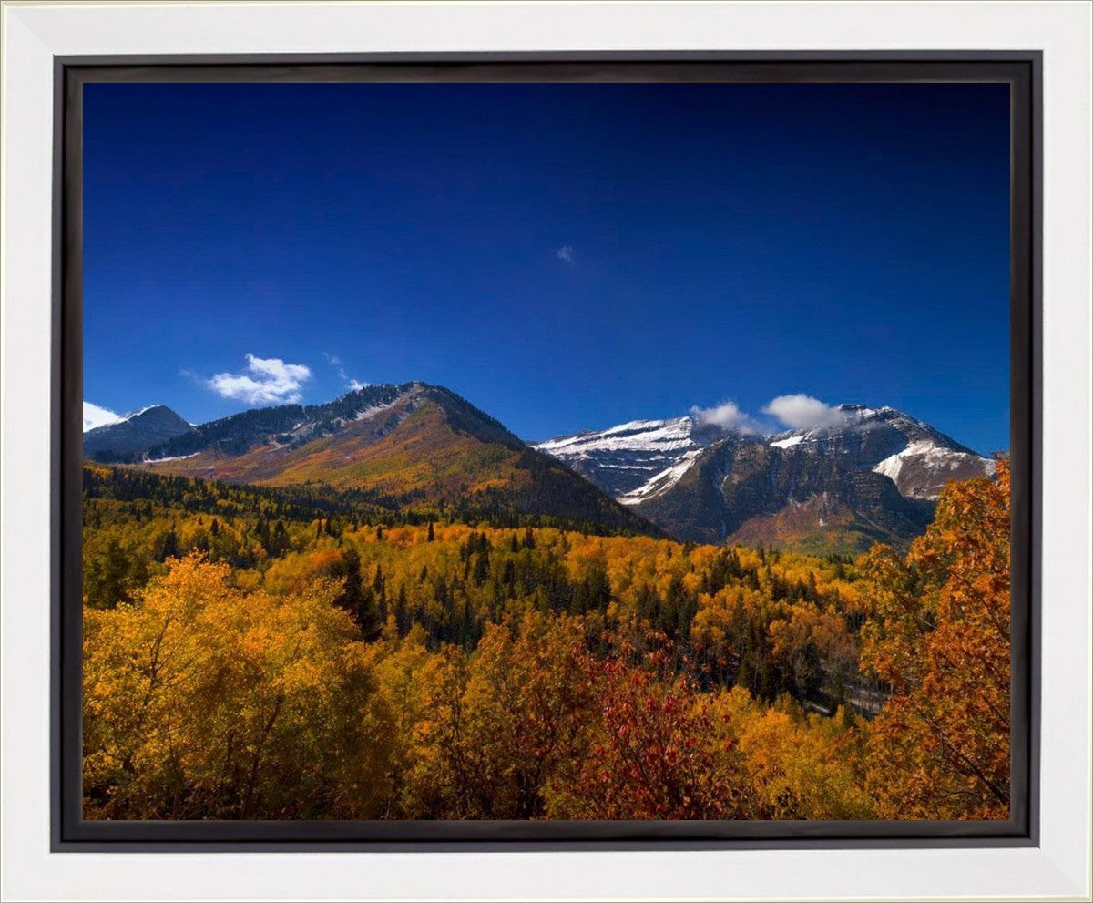 Back Side Of Timpanogos