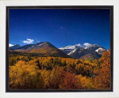 Back Side Of Timpanogos