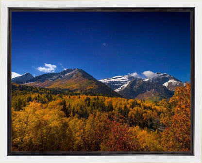 Back Side Of Timpanogos