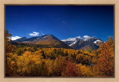 Back Side Of Timpanogos