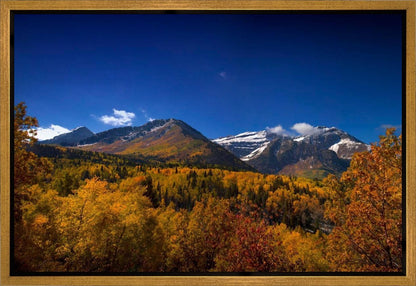 Back Side Of Timpanogos