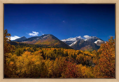 Back Side Of Timpanogos