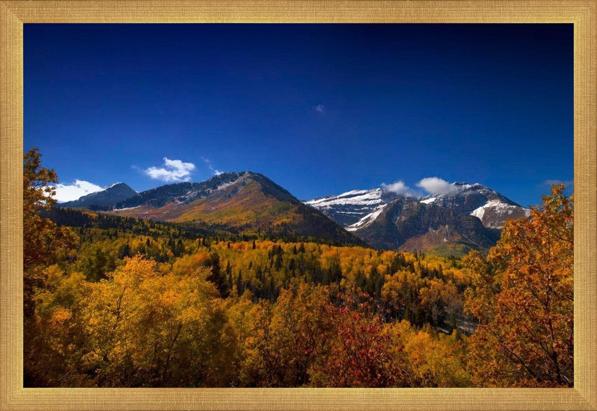 Back Side Of Timpanogos