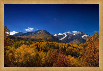 Back Side Of Timpanogos