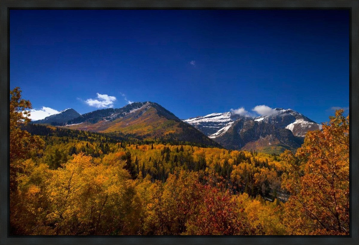 Back Side Of Timpanogos