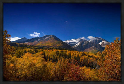 Back Side Of Timpanogos