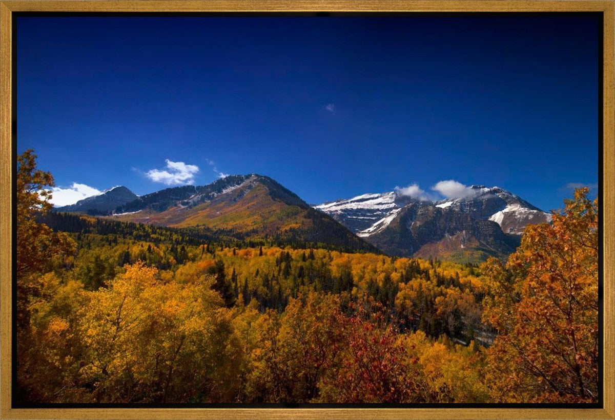 Back Side Of Timpanogos