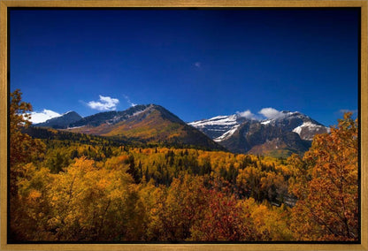 Back Side Of Timpanogos