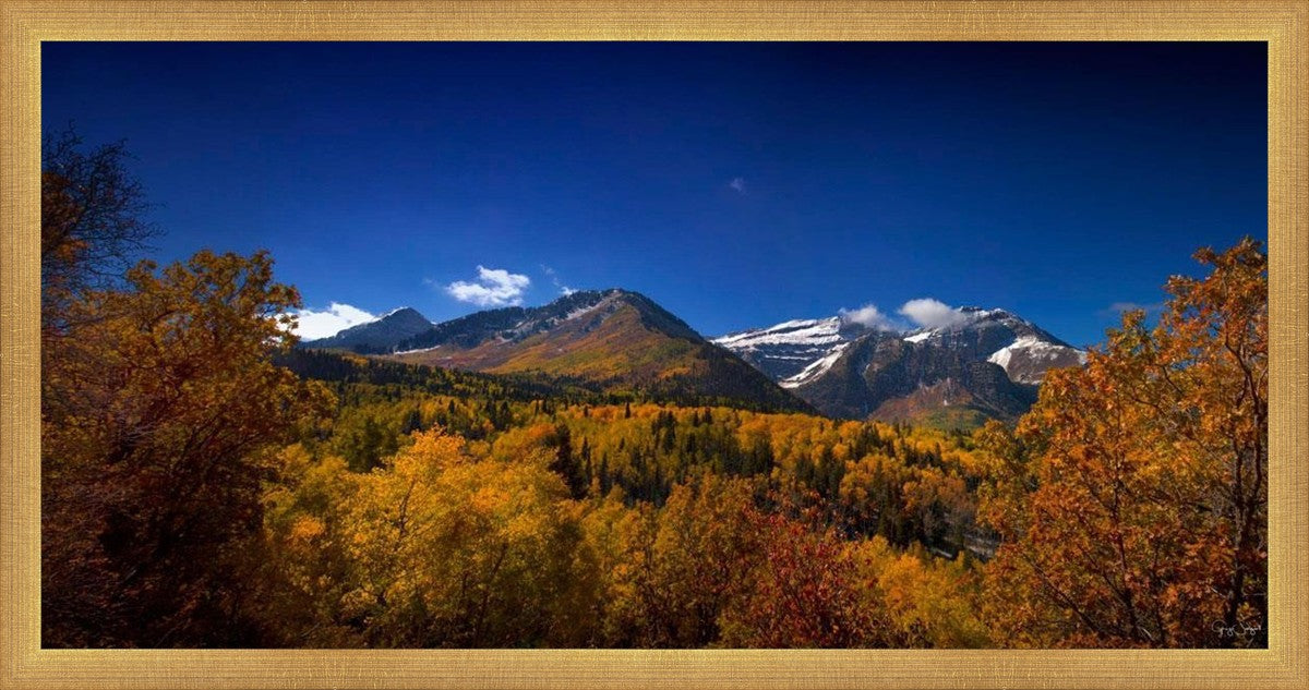 Back Side Of Timpanogos