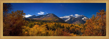 Back Side Of Timpanogos