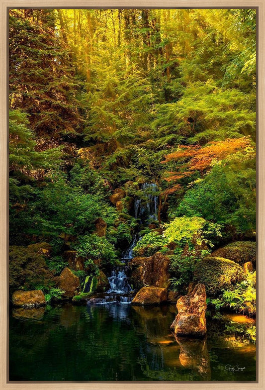 Secluded Pond