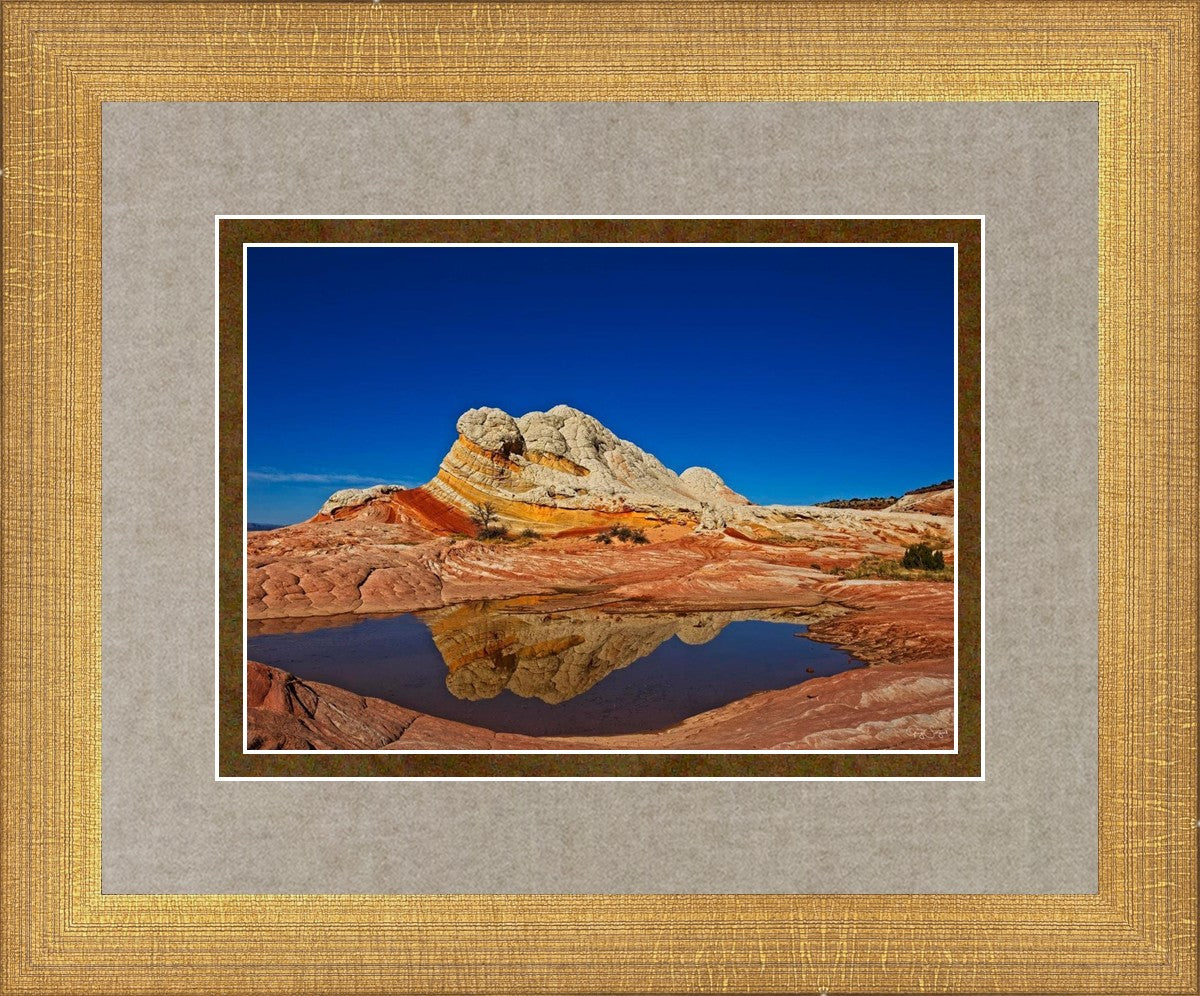 White Pocket Reflection