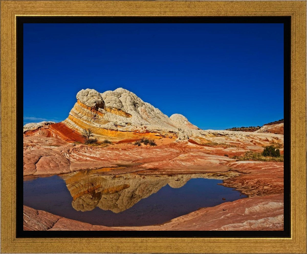 White Pocket Reflection