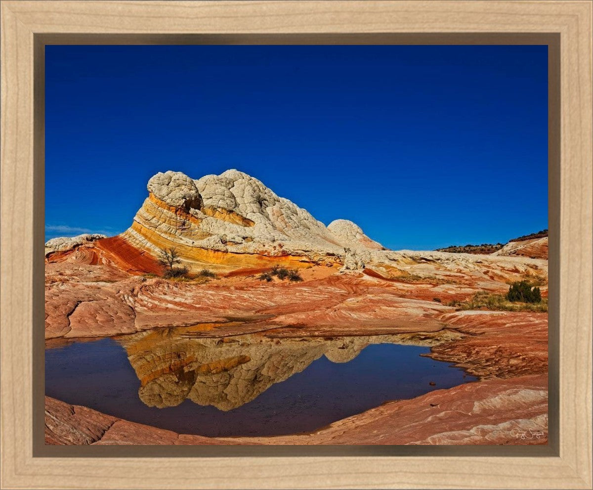 White Pocket Reflection