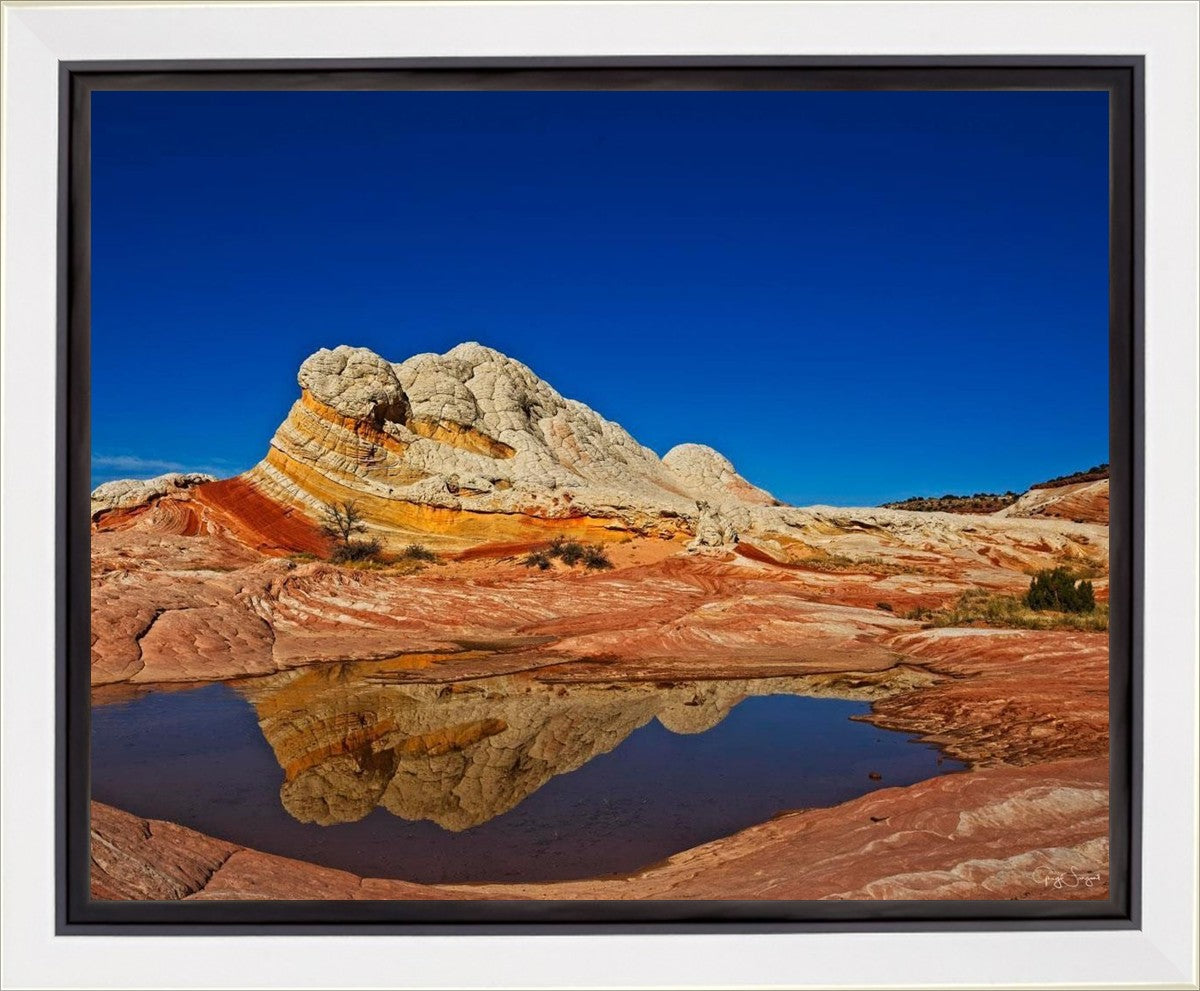 White Pocket Reflection