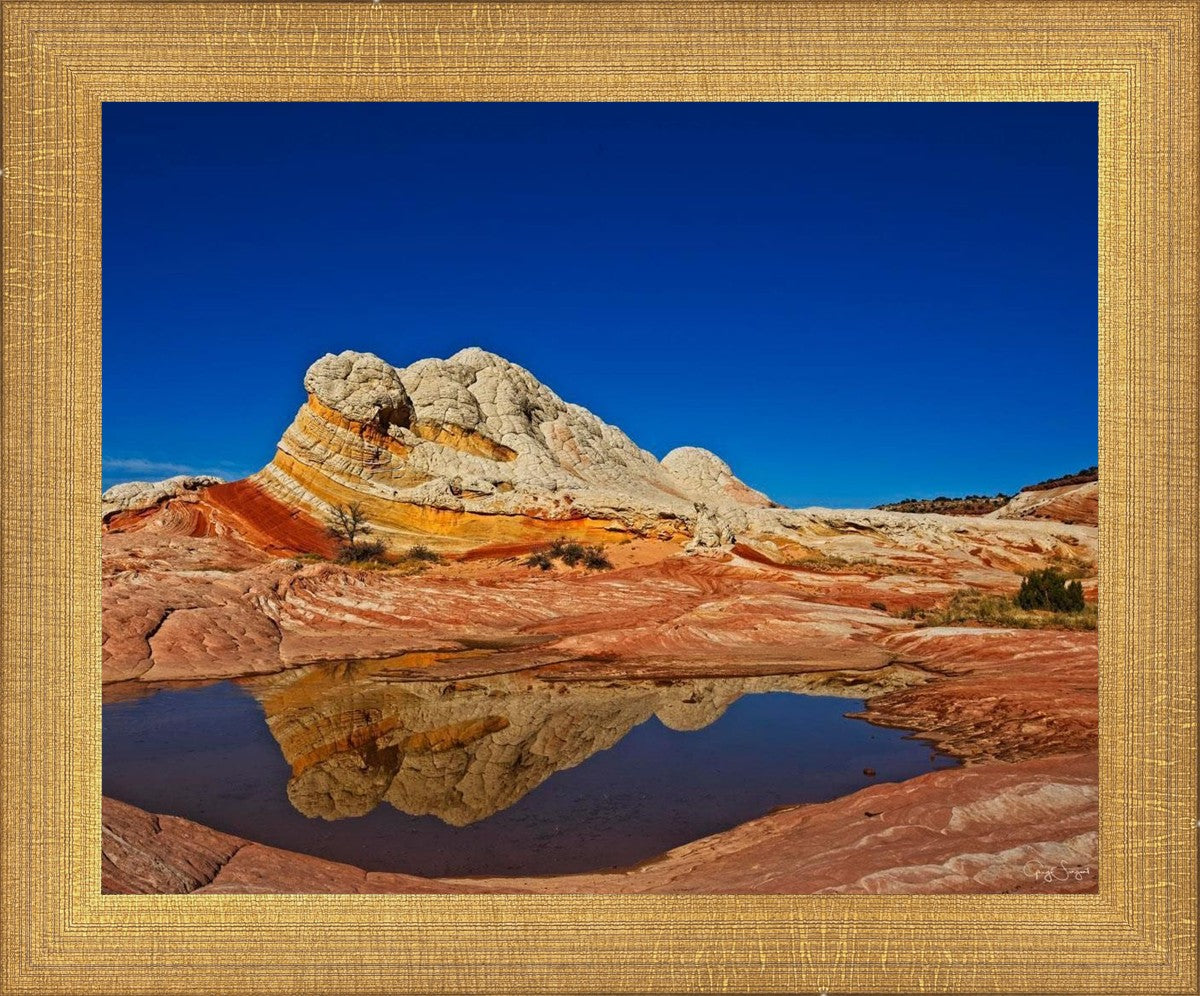 White Pocket Reflection