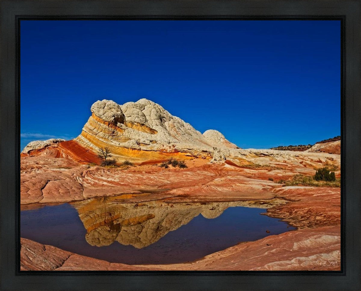 White Pocket Reflection