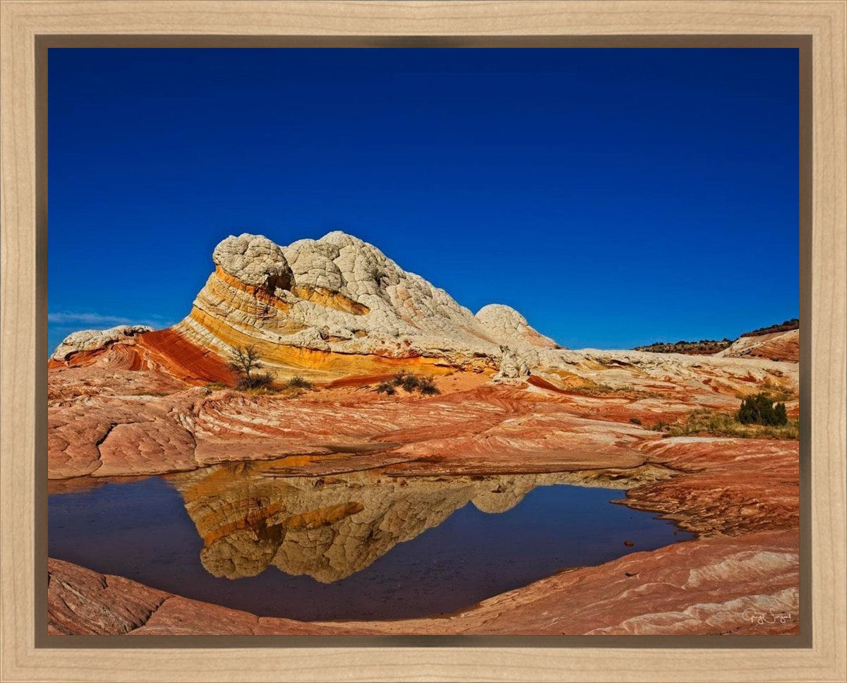 White Pocket Reflection