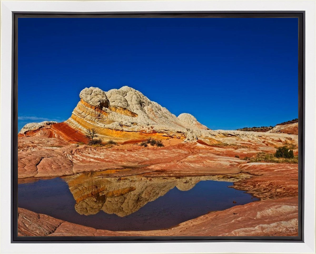 White Pocket Reflection