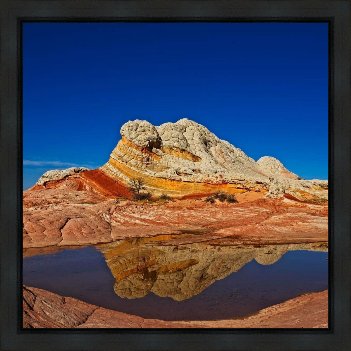 White Pocket Reflection