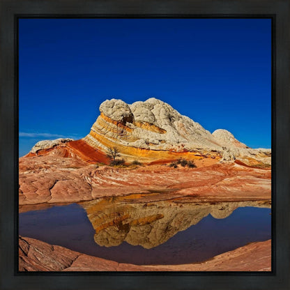 White Pocket Reflection