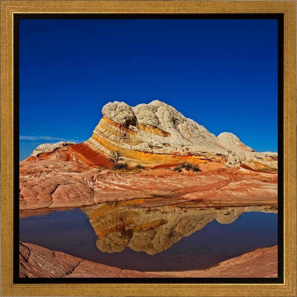 White Pocket Reflection