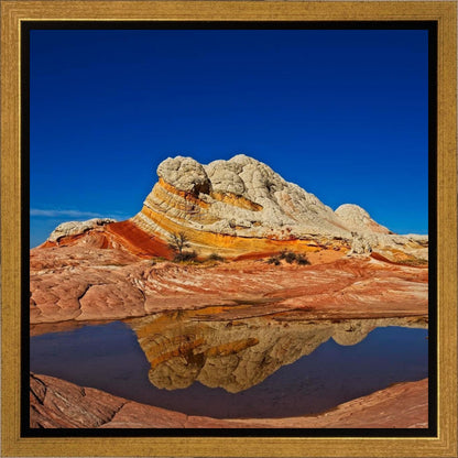 White Pocket Reflection