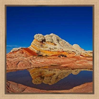 White Pocket Reflection