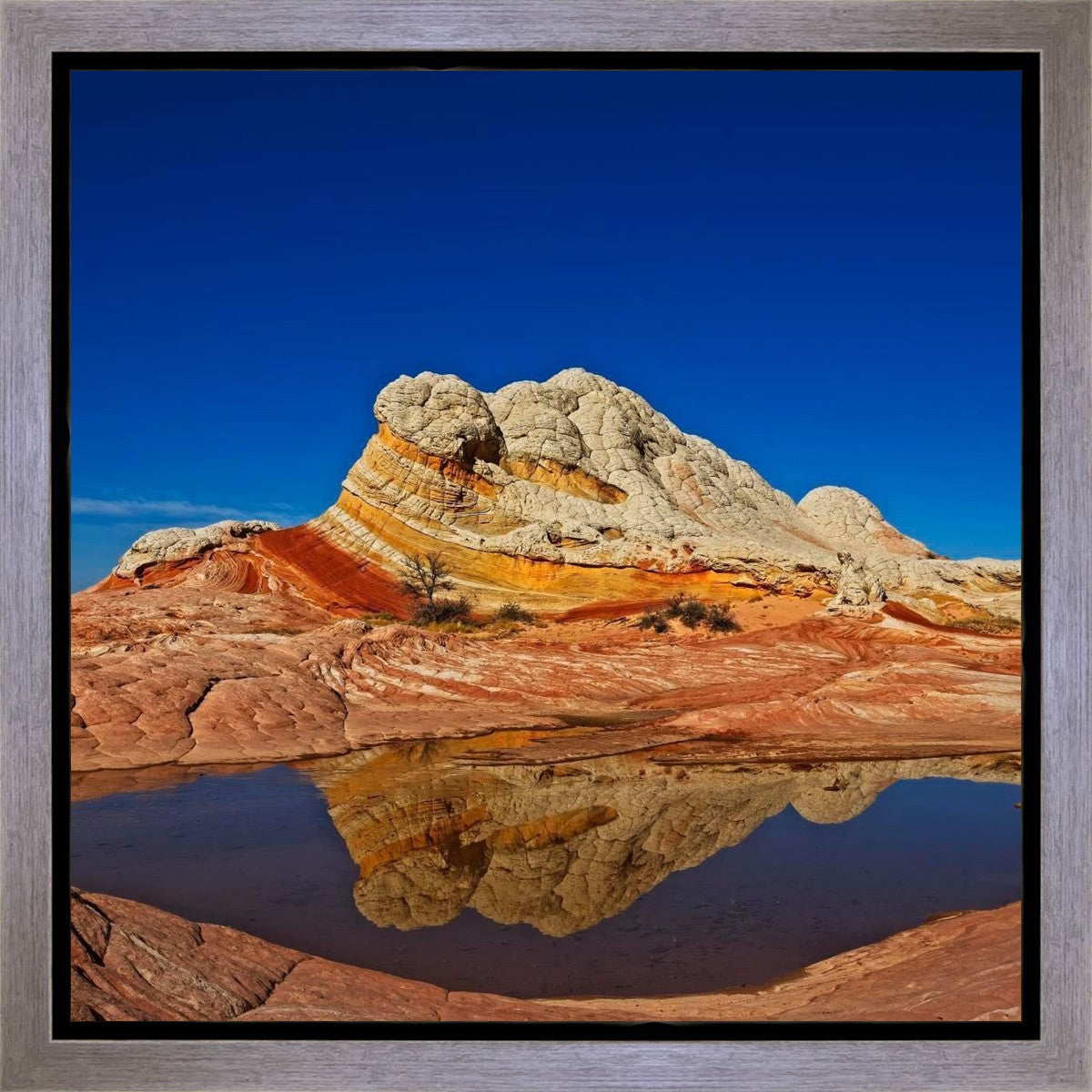 White Pocket Reflection