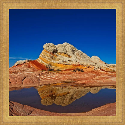 White Pocket Reflection