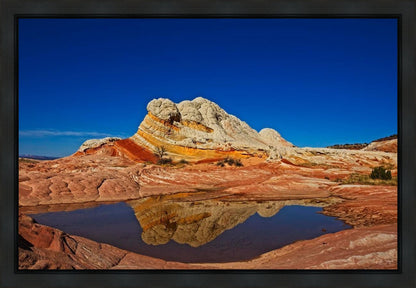 White Pocket Reflection