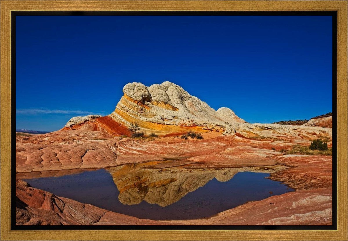 White Pocket Reflection