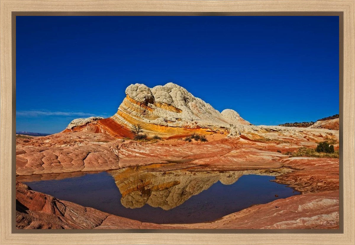 White Pocket Reflection