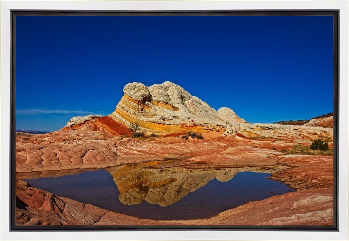 White Pocket Reflection