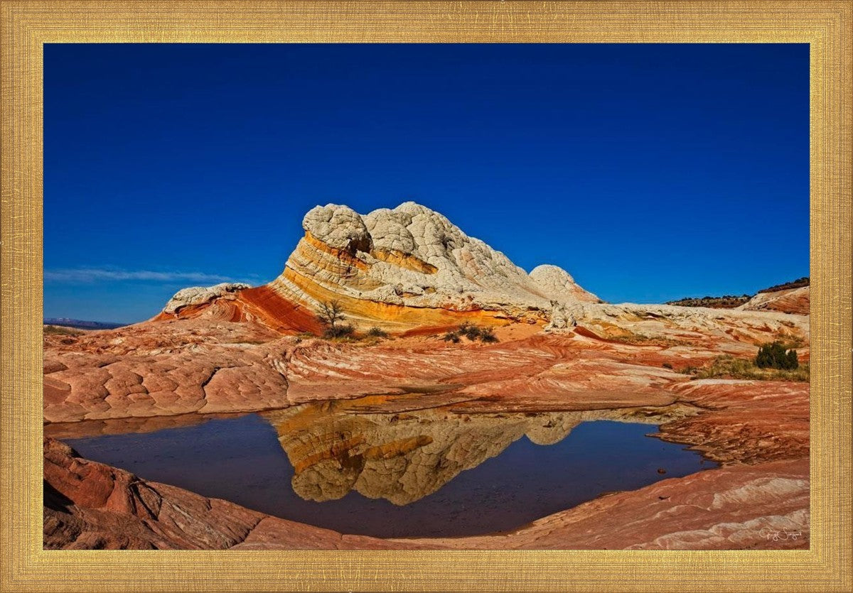 White Pocket Reflection