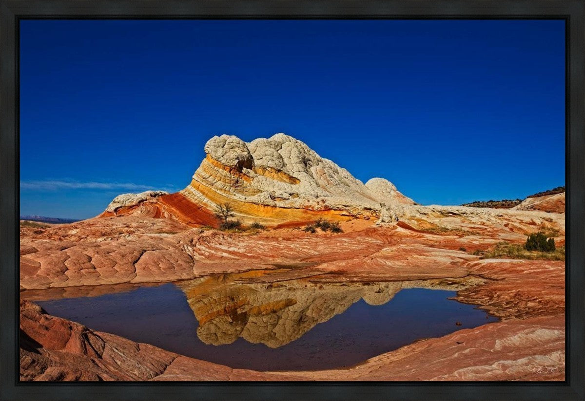 White Pocket Reflection