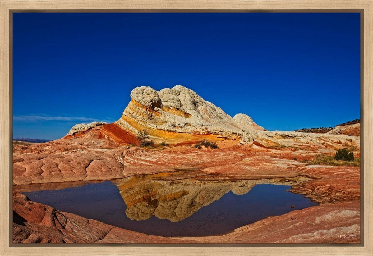 White Pocket Reflection