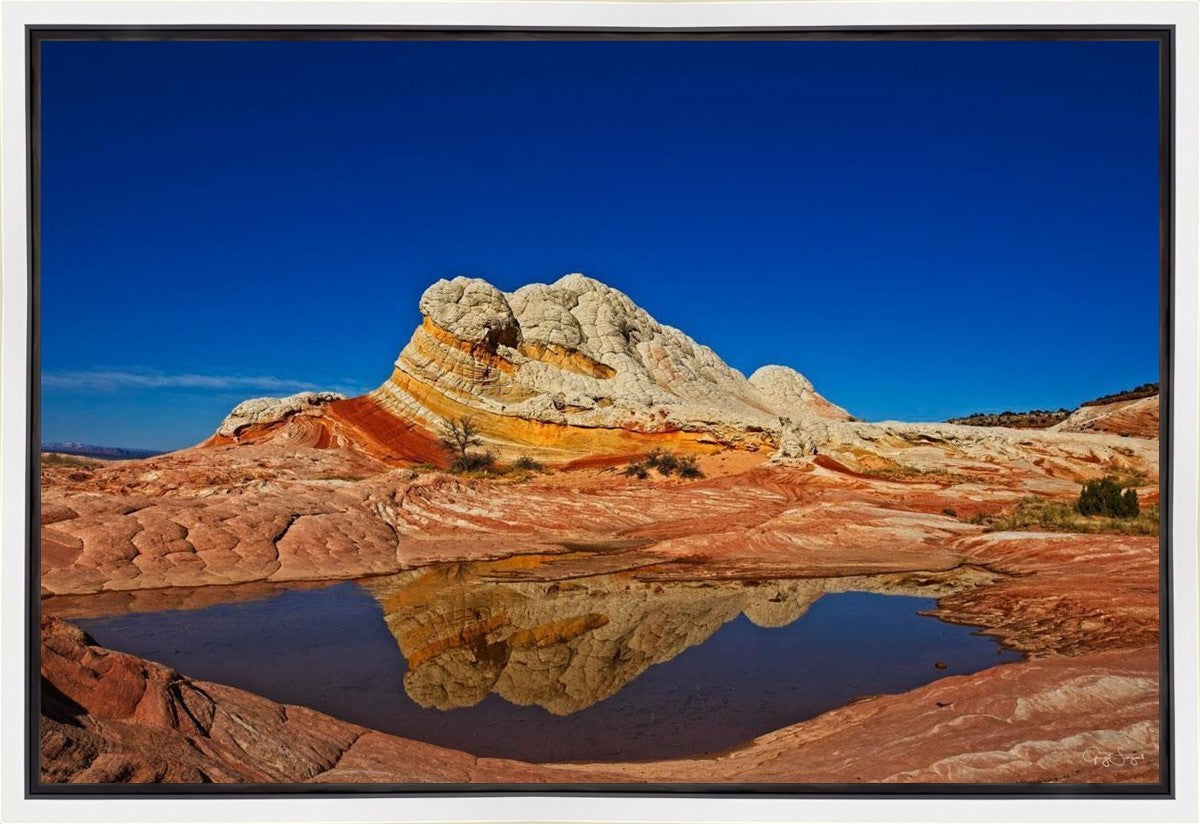 White Pocket Reflection