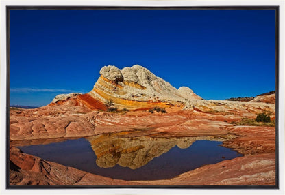 White Pocket Reflection