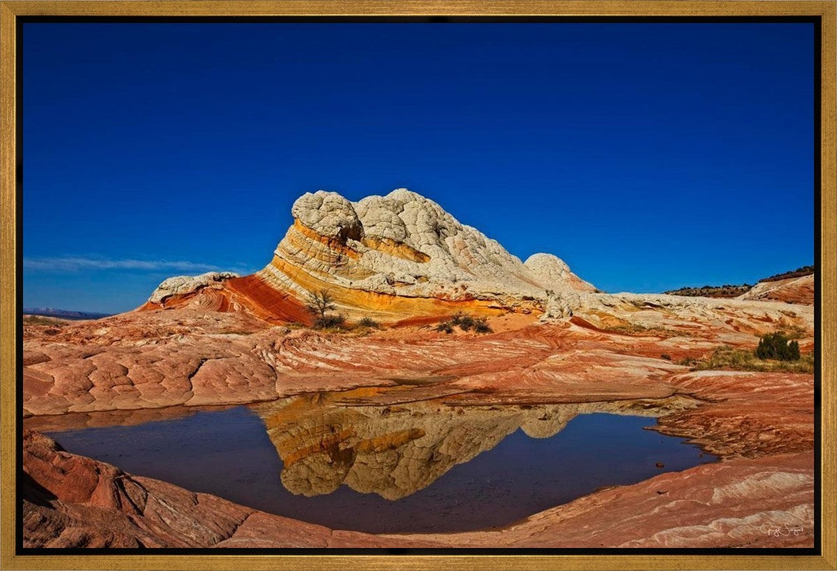 White Pocket Reflection