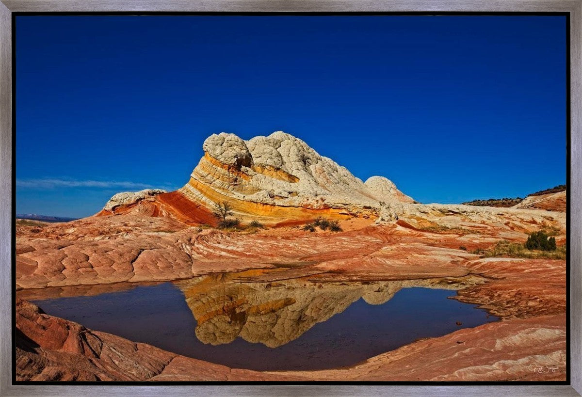 White Pocket Reflection