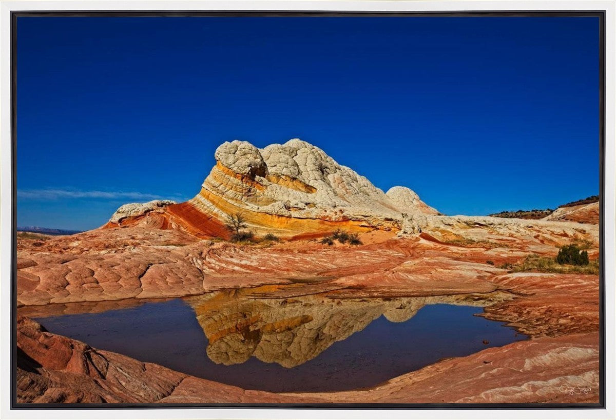 White Pocket Reflection