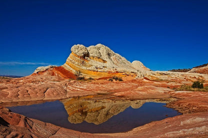 White Pocket Reflection