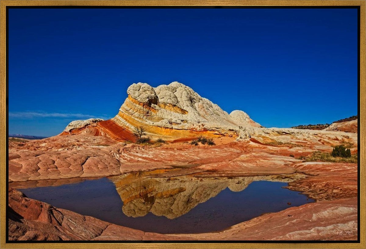 White Pocket Reflection