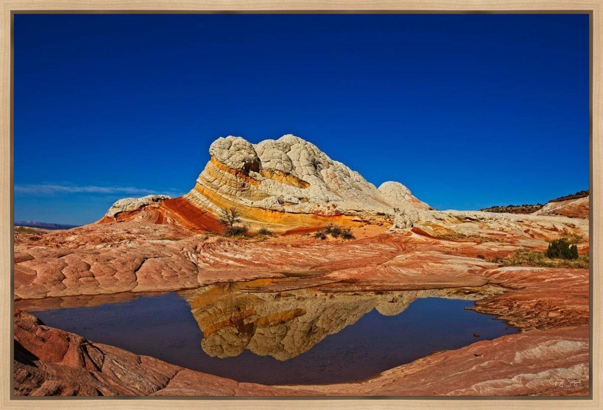 White Pocket Reflection