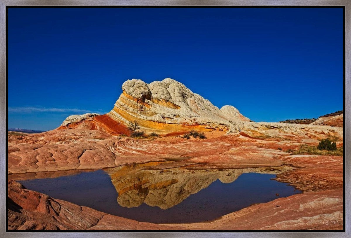 White Pocket Reflection