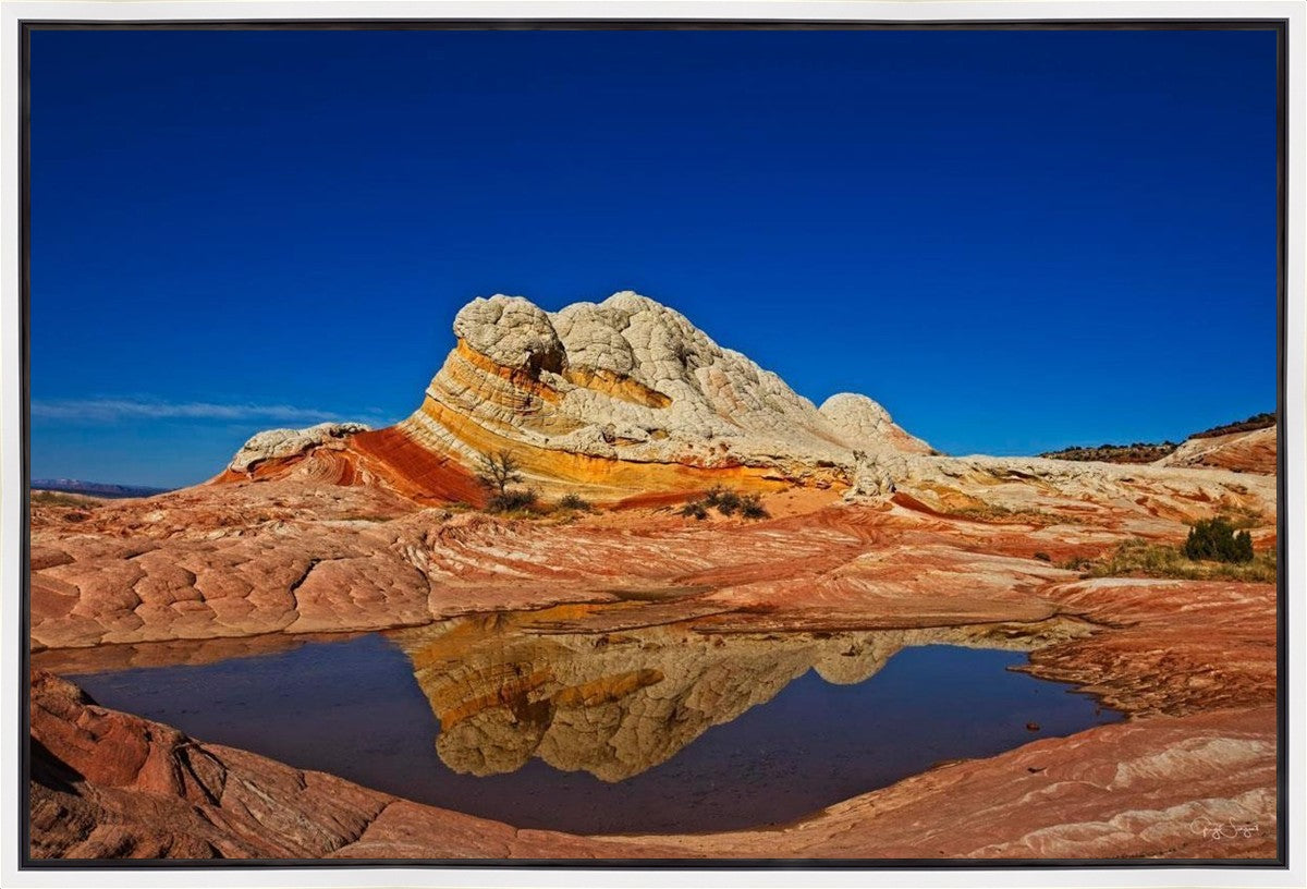 White Pocket Reflection