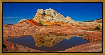 White Pocket Reflection