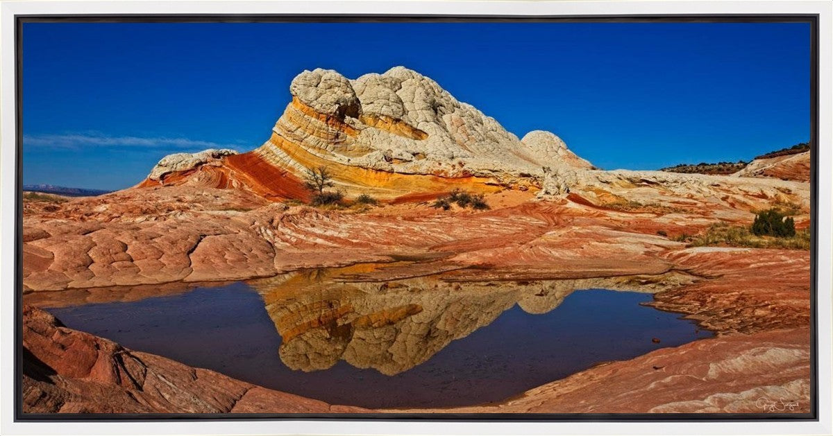 White Pocket Reflection