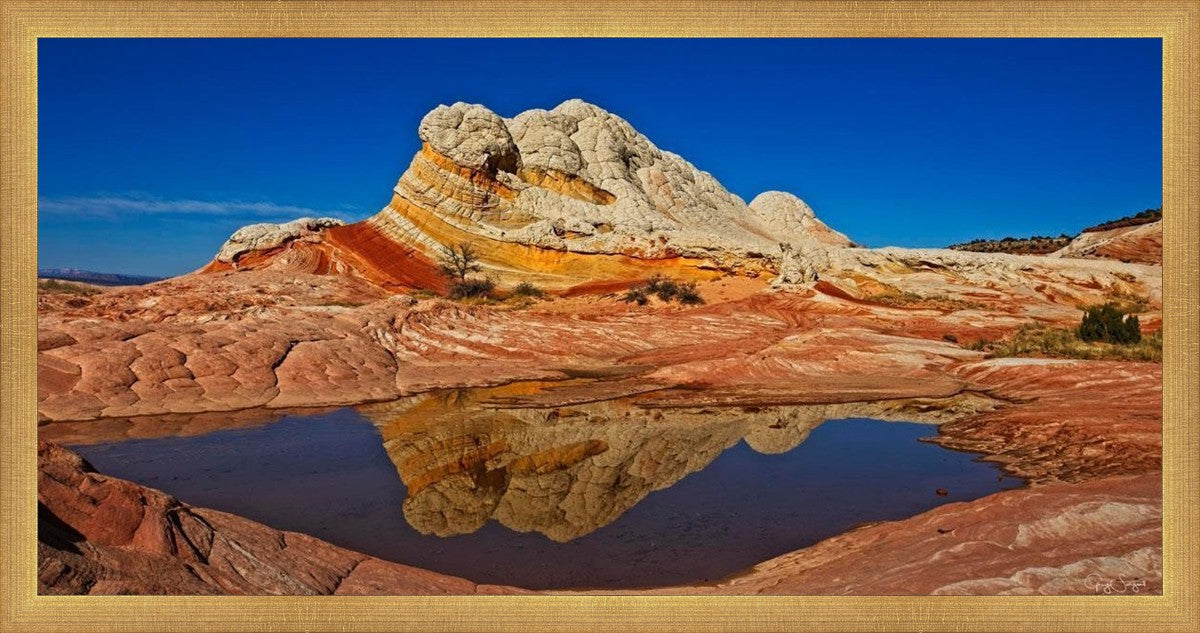 White Pocket Reflection